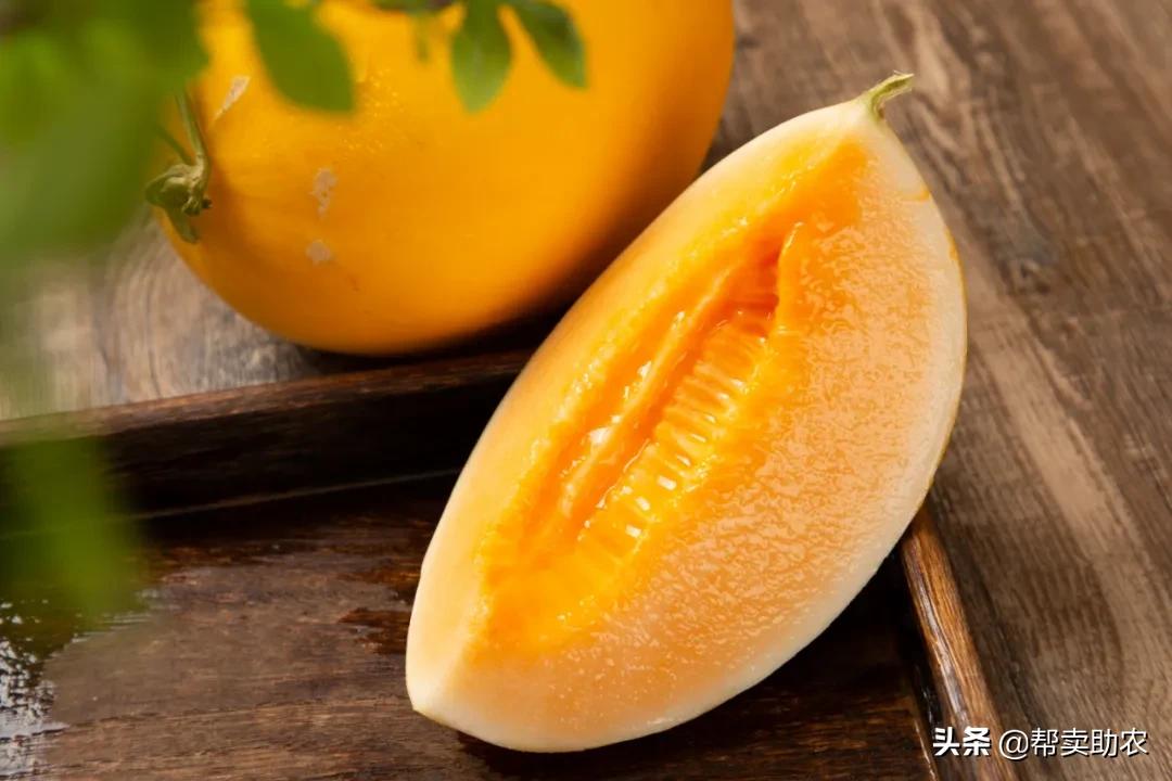 又香又甜又脆的蜜瓜,甜而不腻的蜜瓜好吃到停不下来