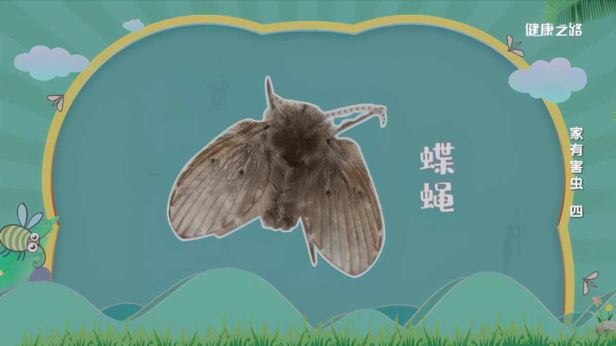 家中粮食有虫子怎么办,粮食里有虫怎么去除