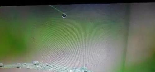 显示器长时间不用电脑花屏,电脑显示器花屏线条闪烁晃动