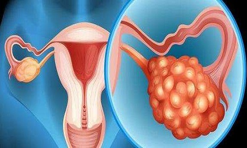 如何提高卵子质量改善,如何改善卵巢功能提高卵子质量