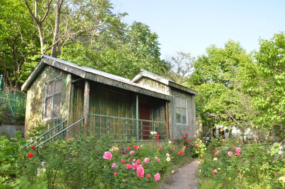 洛阳附近避暑山庄,洛阳最美避暑山景区介绍
