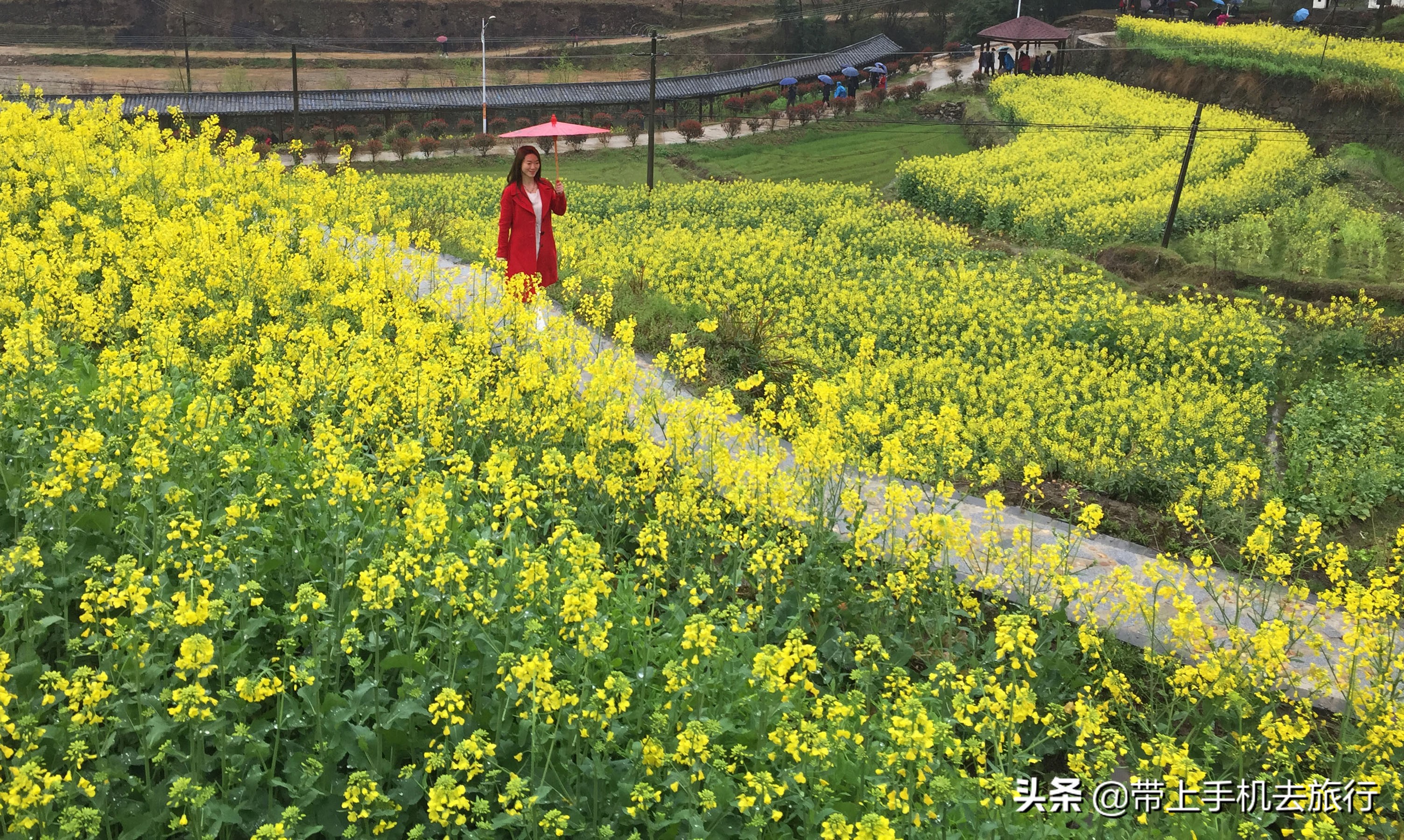 手机如何连拍定格,手机如何连拍模式
