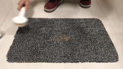 神奇的虎皮地毯,神奇宝贝的地毯