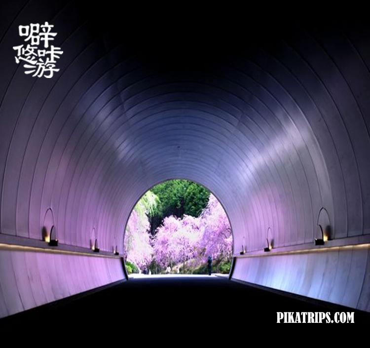 日本京都府旅游攻略,旅行日本京都滋贺