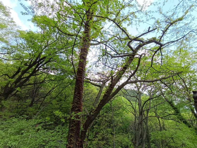 苏州第一高峰穹窿山,苏州最高的山穹窿在哪里