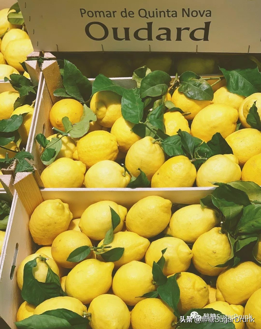 欧洲最大小商品批发市场,欧洲最大批发食品市场