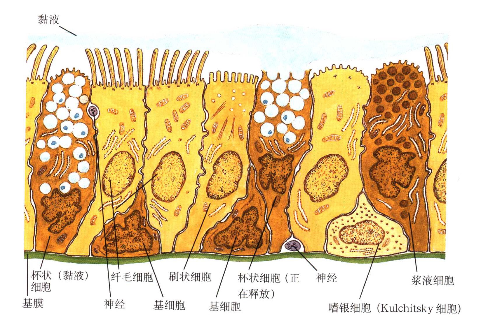 慢性鼻窦炎长期治疗用什么药,慢性鼻窦炎的案例