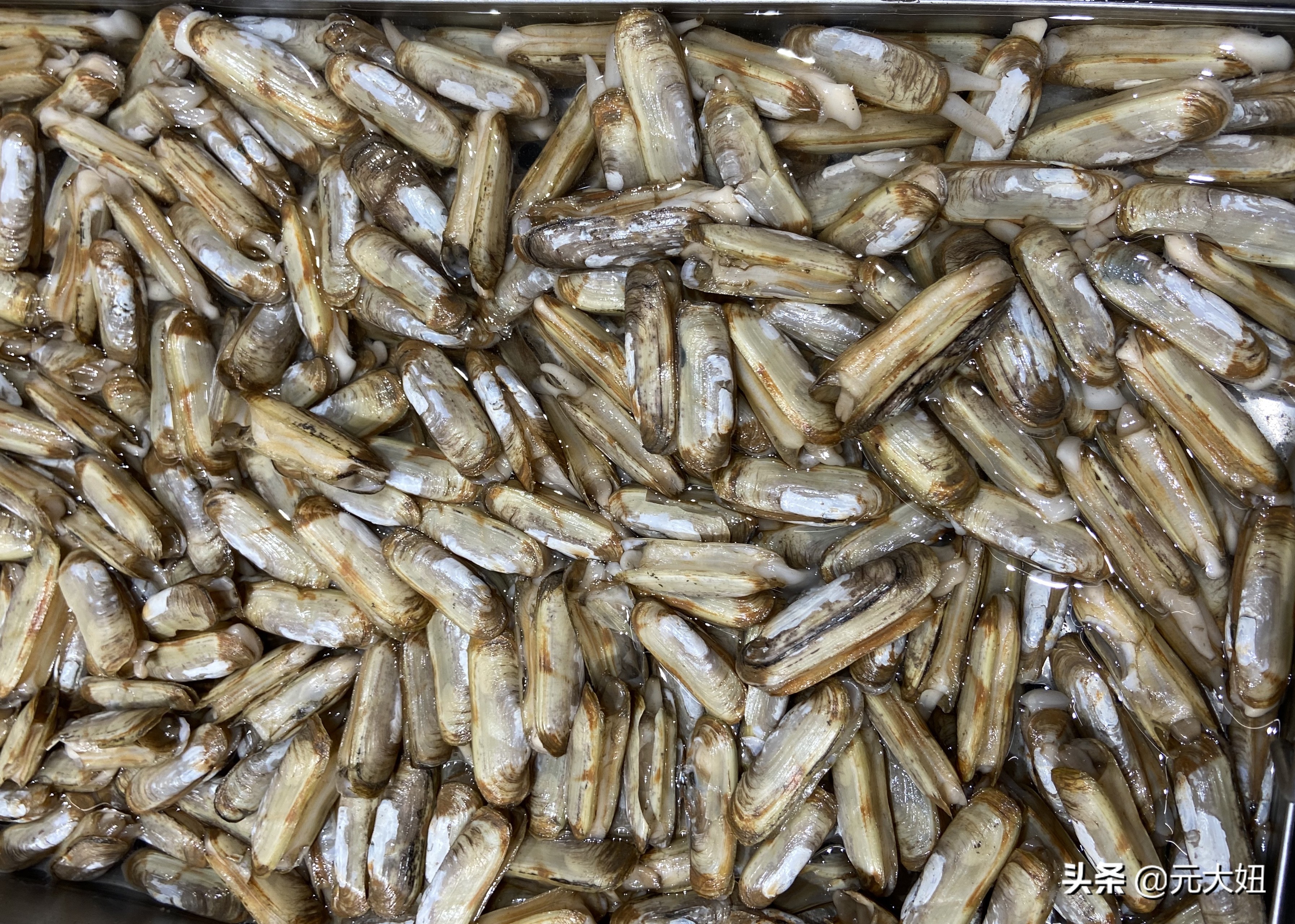 不要错过海鲜季节表,一年四季海鲜时间表