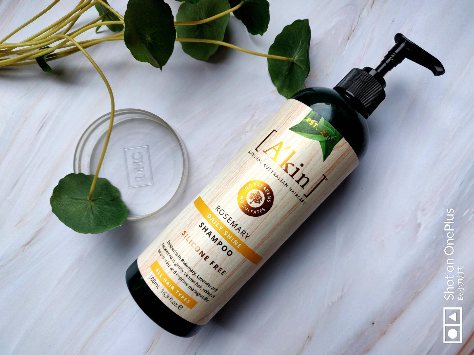 乱花渐欲迷人眼好在哪里,乱花渐欲迷人眼怎么样