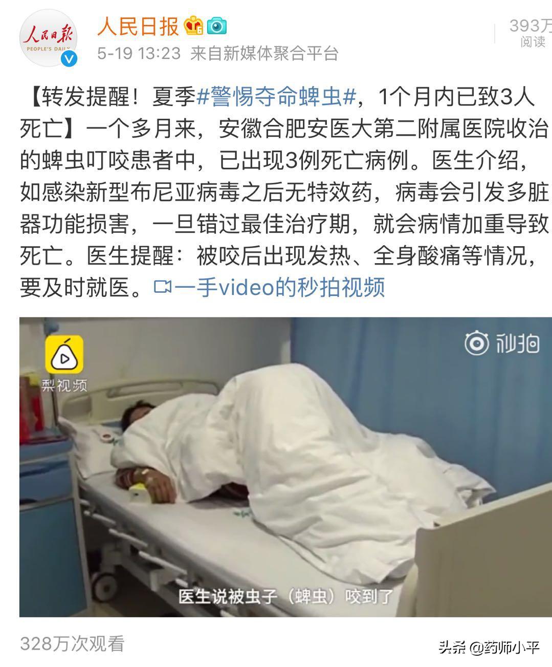 夏季要注意预防以下六种蚊虫,夏季治蚊虫的小妙招