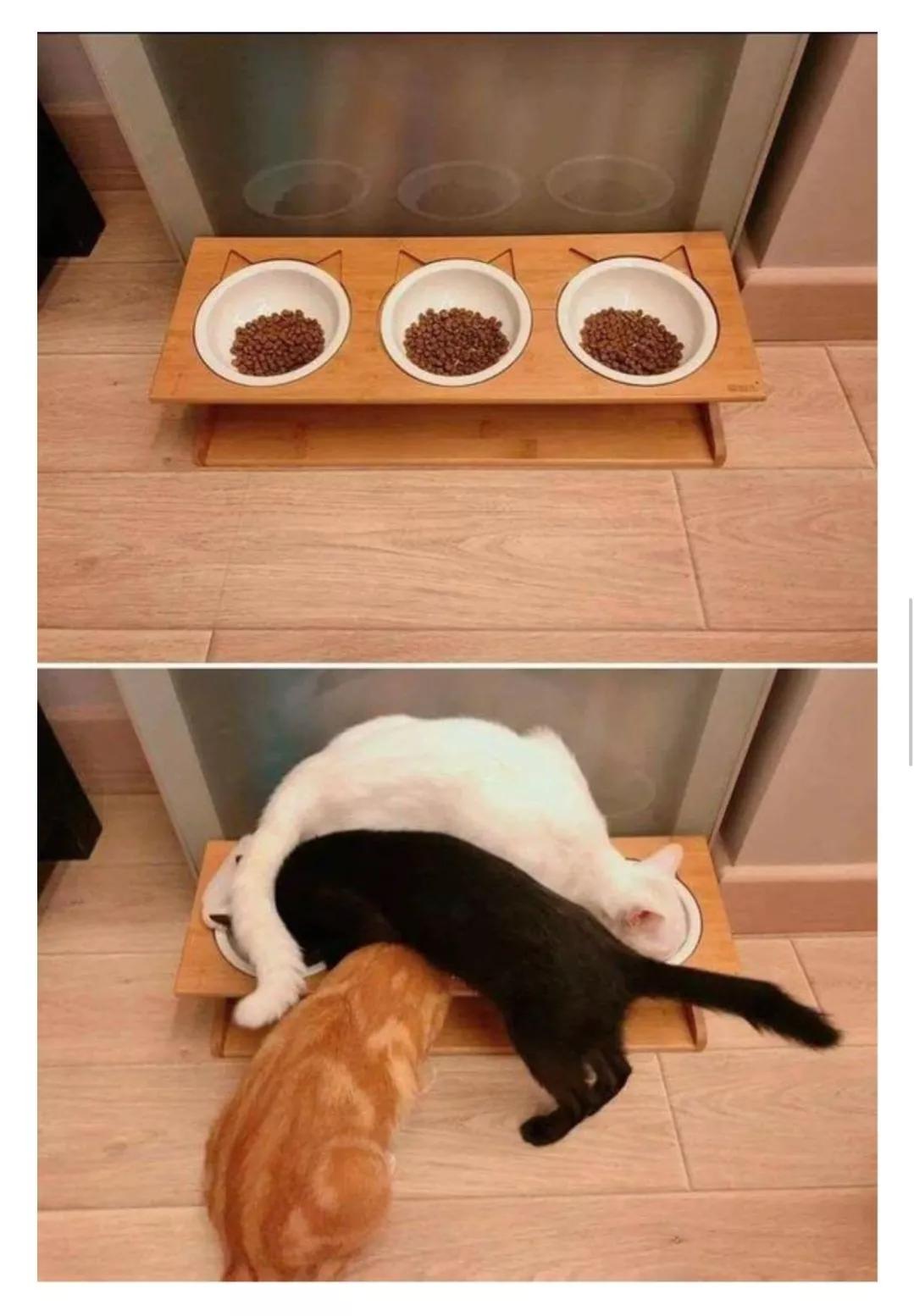 姐姐和姐夫的搞笑对话,盘点姐夫和小姨子之间的搞笑对话