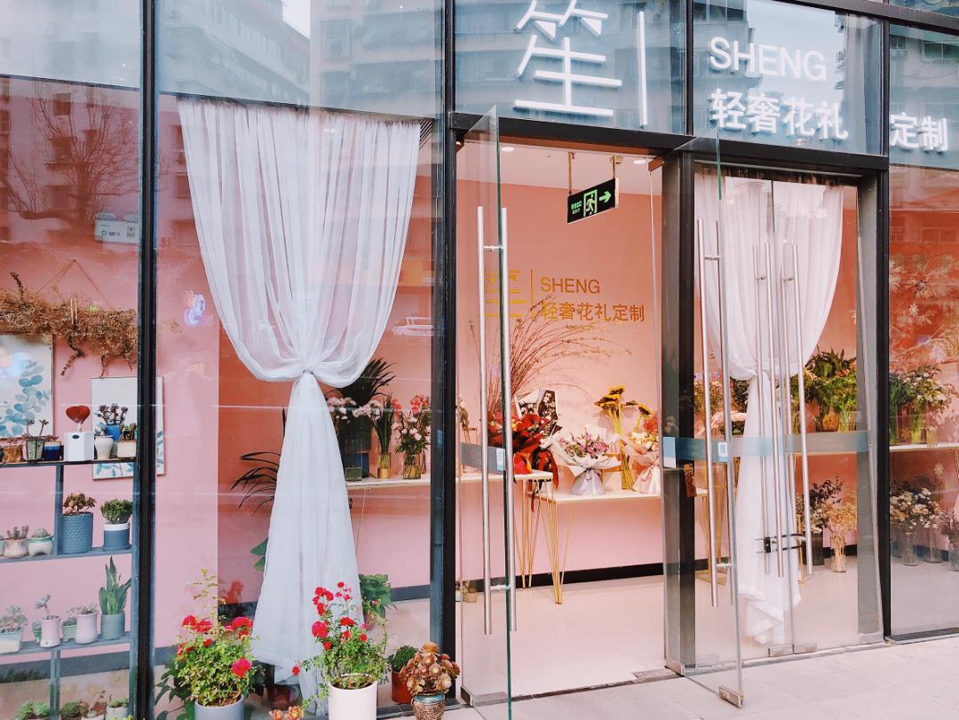 十堰向日葵花海打卡网红地,十堰美丽的地方