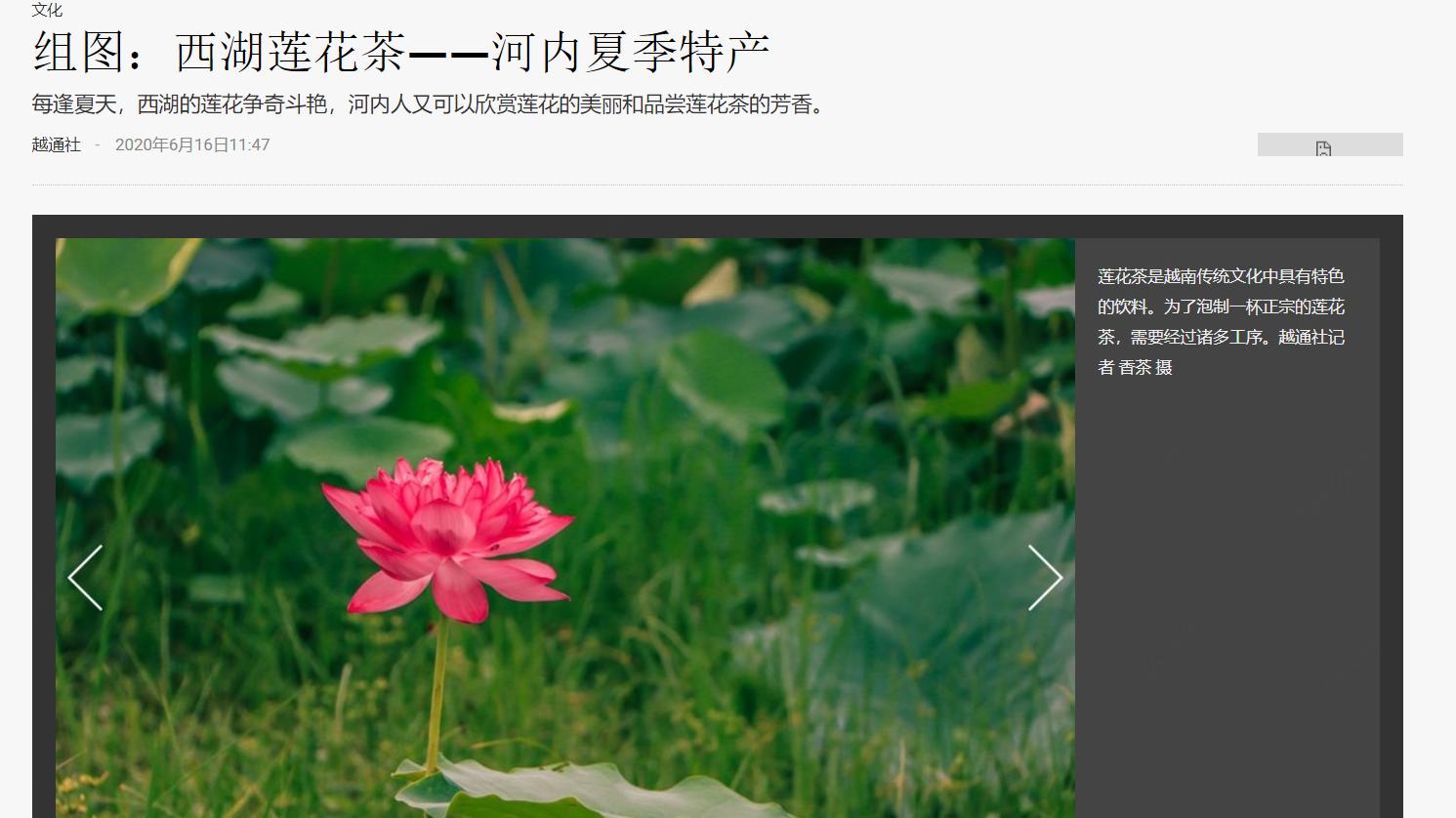 越南河内西湖风景区,越南西湖夜景图