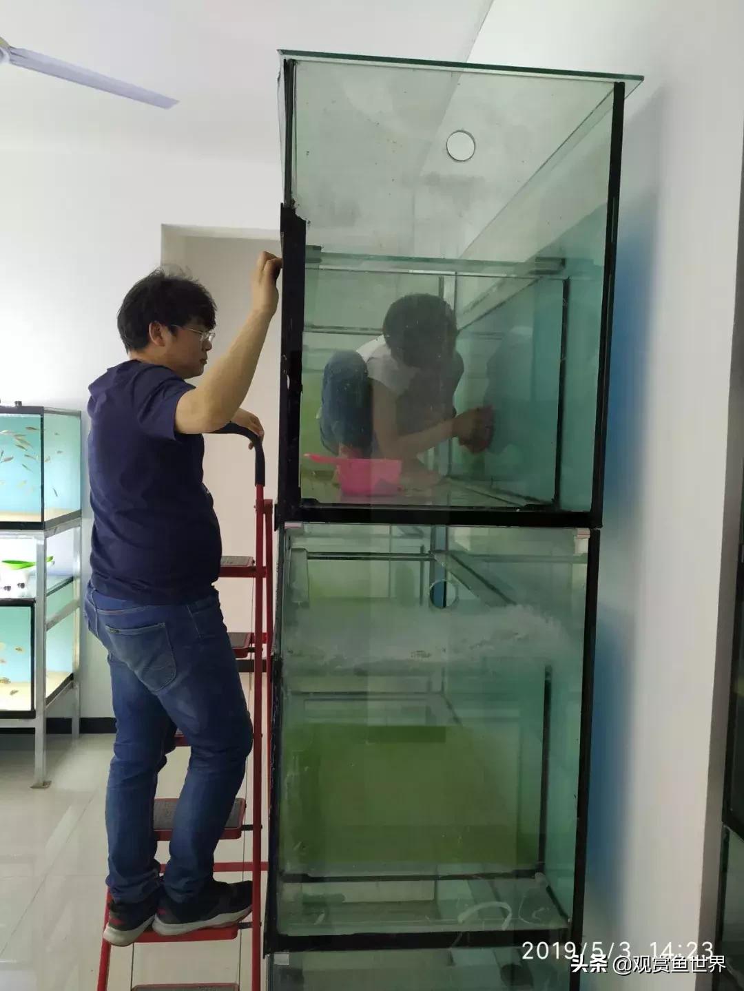 梦想的三湖世界持续建设中……方位:中国天津