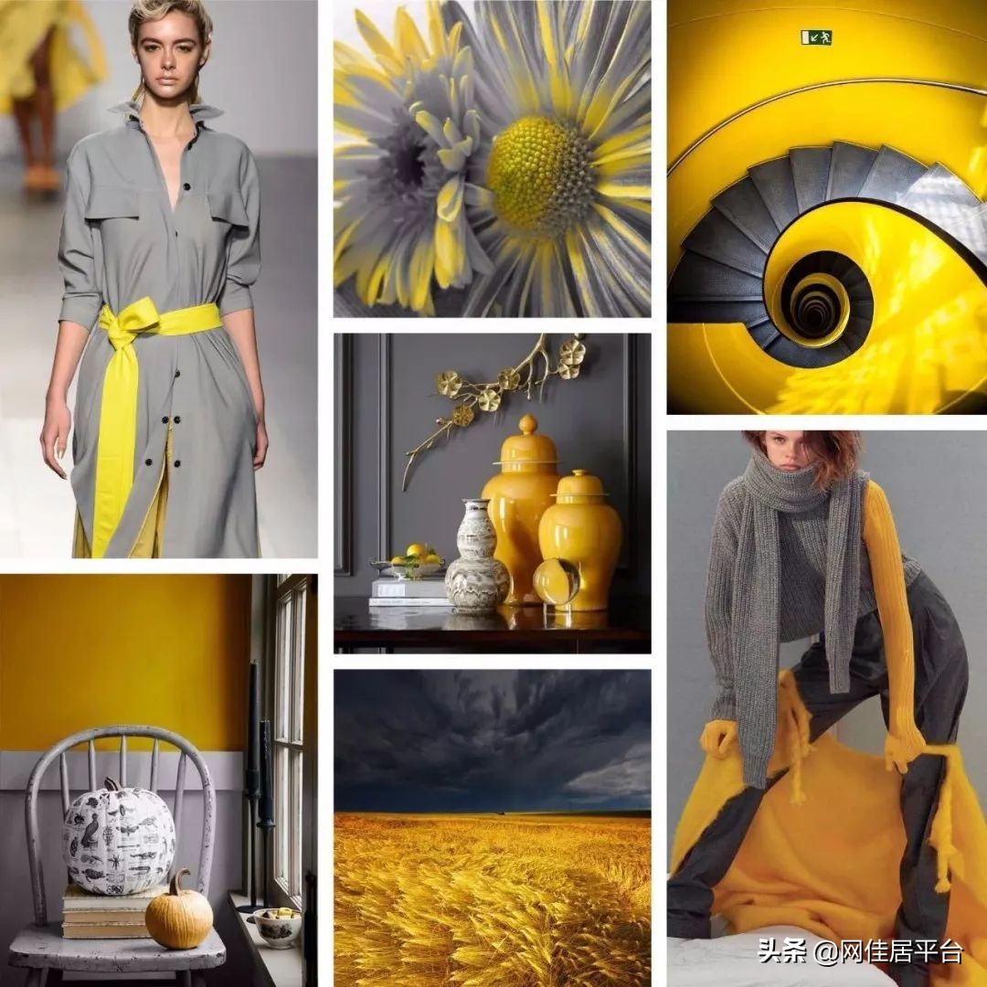 让邻居都羡慕的房子长什么样,99%人都喜欢的别墅