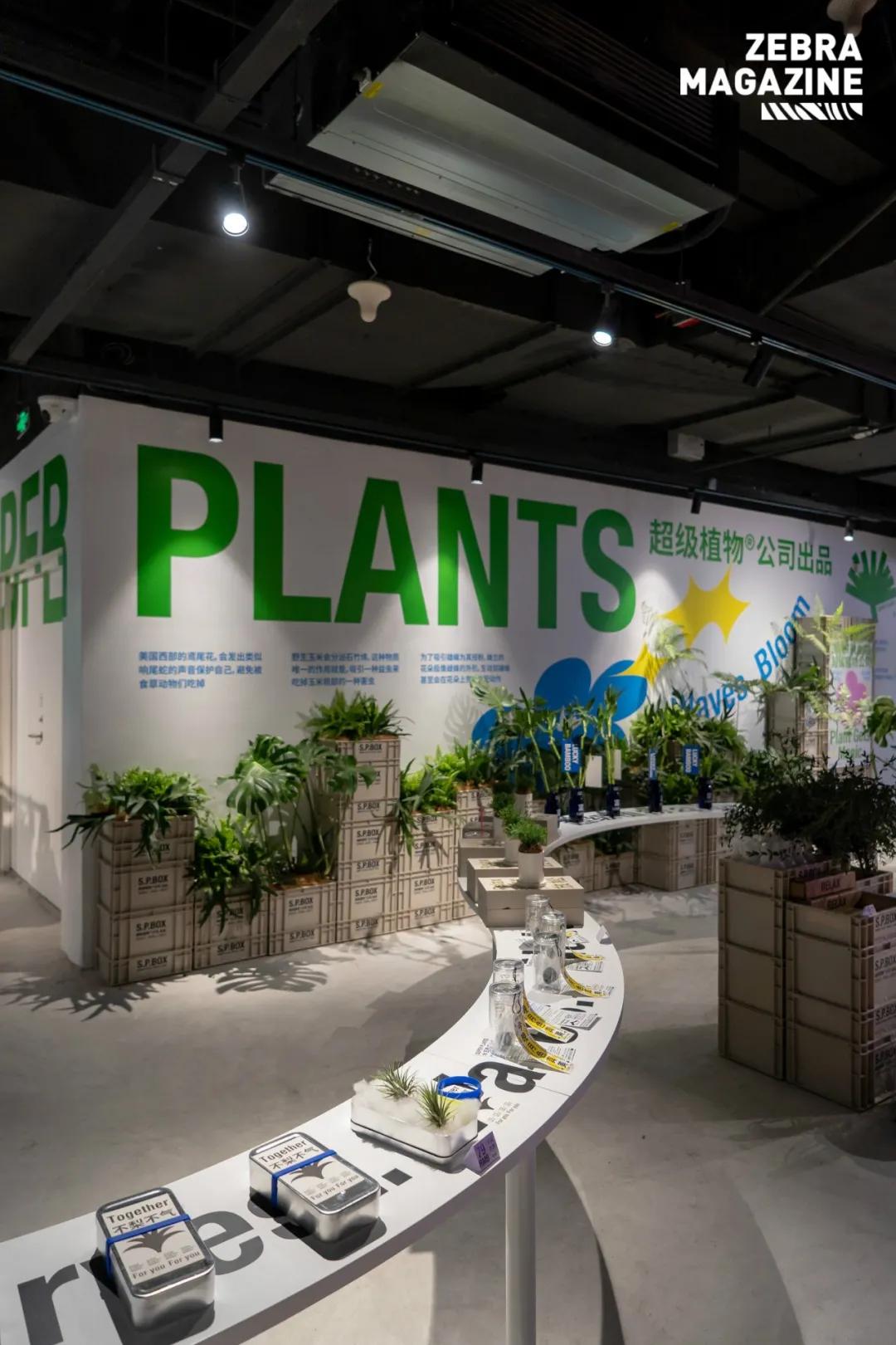 淮海路顶流出片地！21岁、重新回归的「上海广场​」好好拍哦