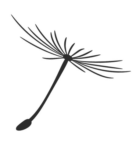 2018海沧中学高一,厦门一中海沧校区入学须知