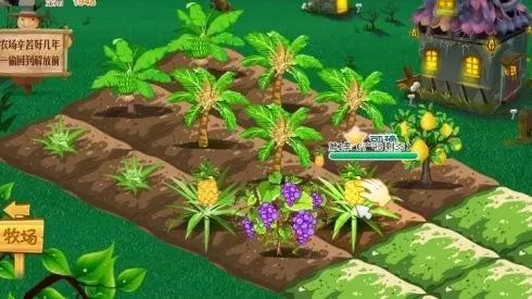 置爱|植物1.0是种在盆儿里的,植物2.0都趴在墙上的