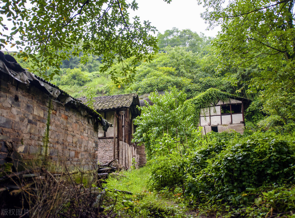 重庆适合亲子游2天一晚避暑,重庆周边的四川避暑胜地有哪些
