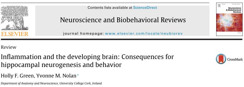 脑炎症会致命吗,脑有炎症用什么药