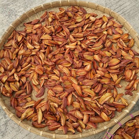 入暑后吃什么水果最好,处暑过后吃点什么