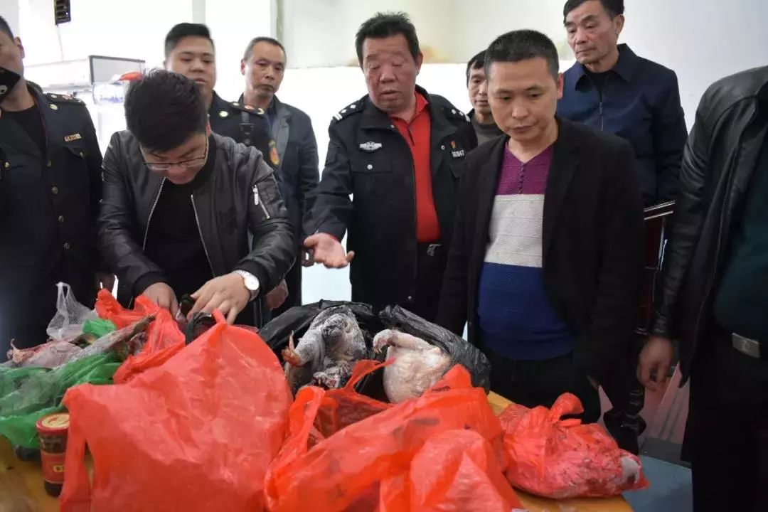 野生树蛙吃了犯法吗,吃树蛙判几年