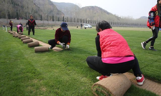 河南小伙好吃懒做,河南小伙放弃百万年薪回家种地