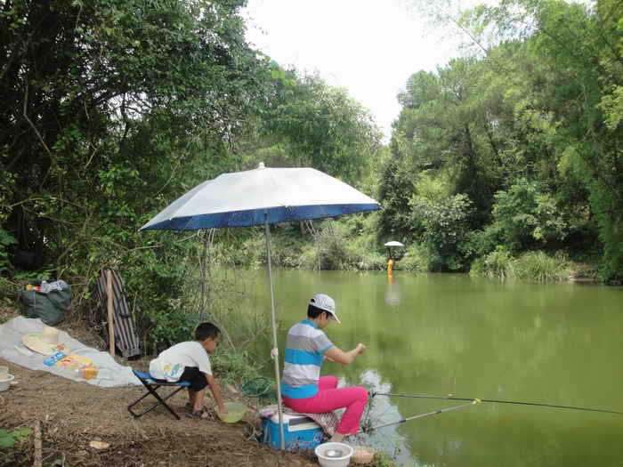 钓鱼的乐趣诗词,钓鱼之乐趣