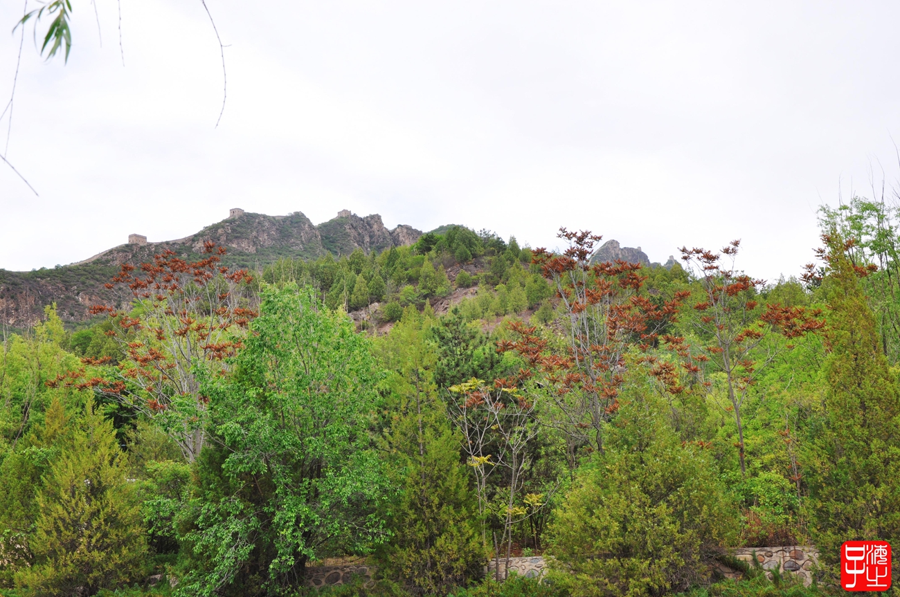 邂逅京畿之地的古北水镇,古镇北京古北水镇