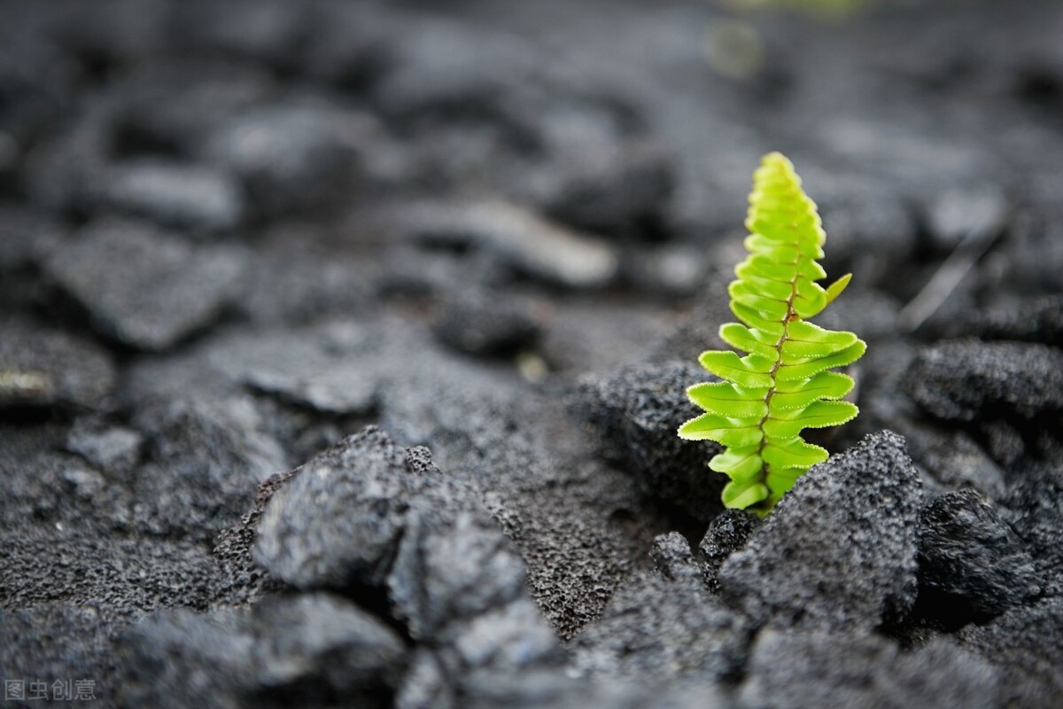 亚马逊封禁3000中国卖家，海外版“京东”到底想干什么？