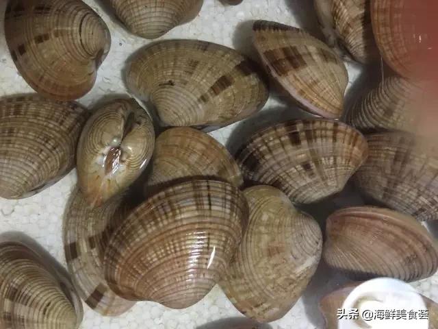 常见的鱼虾蟹等海鲜的认识,虾蟹类海鲜大全