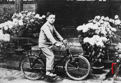 讲述两岸交流的真实故事,台湾家庭的两岸故事