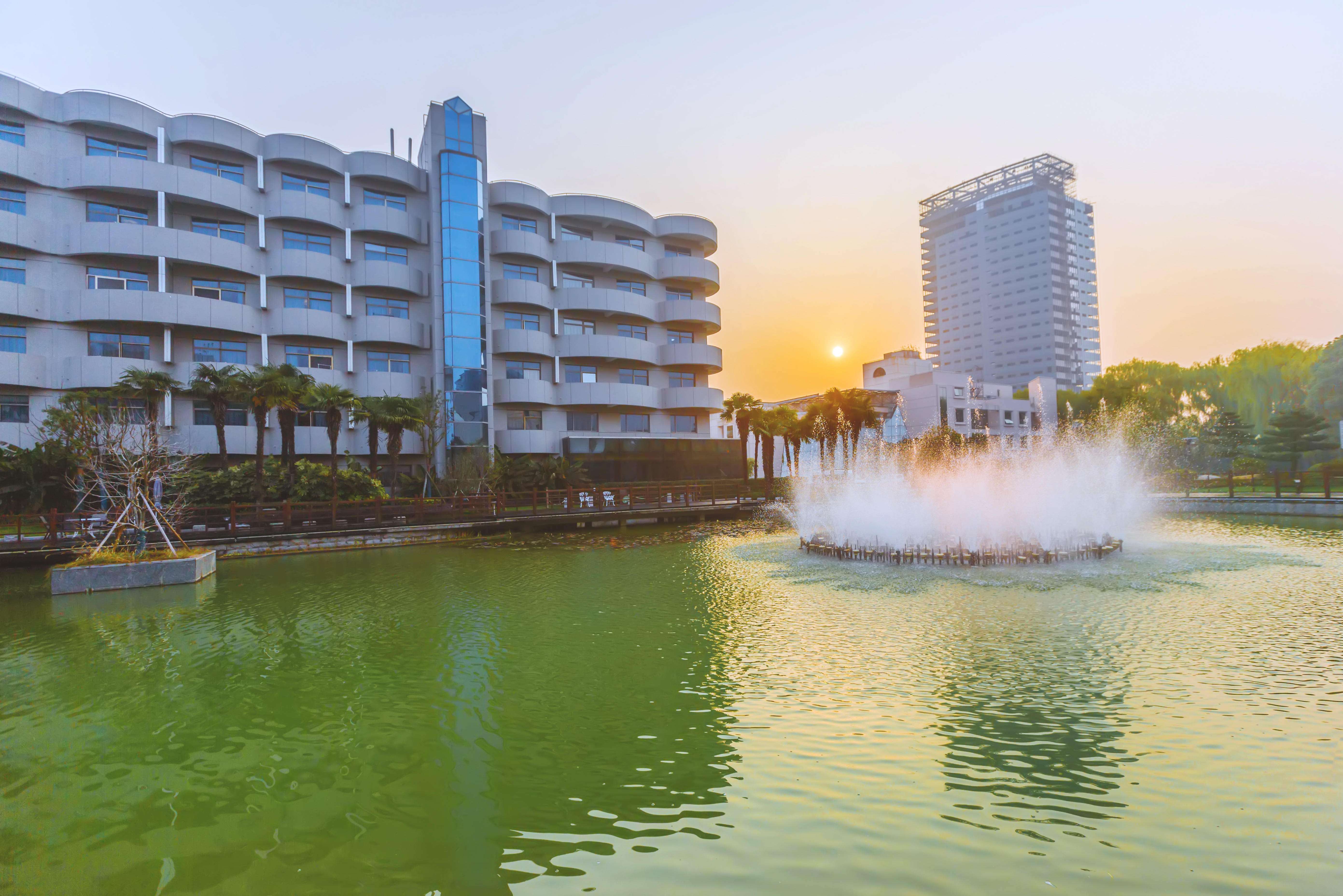 释迦牟尼舍利子头盖骨,释迦牟尼的真身头盖骨