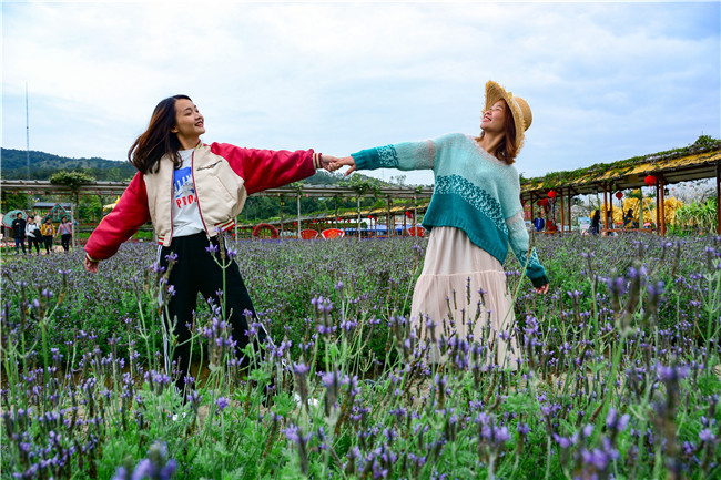 佛山三八妇女节出游,三八佛山旅游