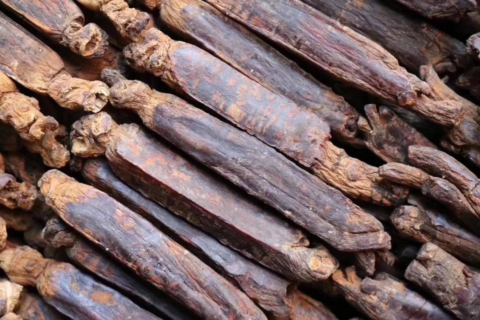 同样是人参,同样年份人参价格不同