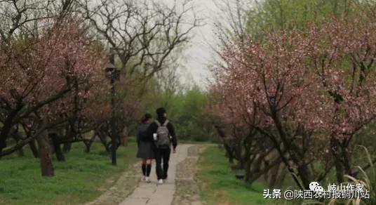 陈百强一生一共唱了多少首歌,朱百强个人资料