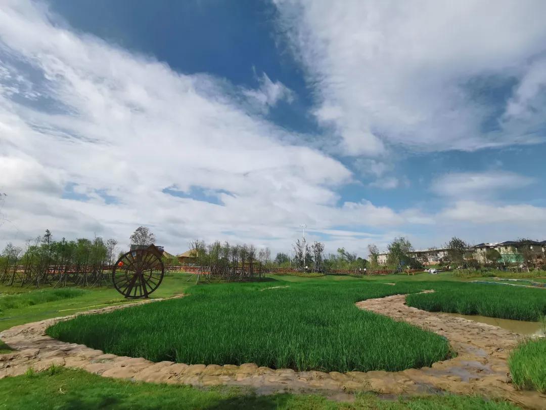 滁州高端酒店自助,滁州高档型酒店推荐