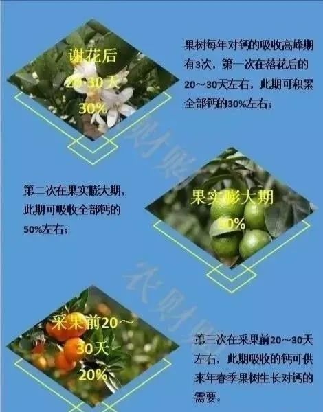 氨基糖醇钙,进口糖醇钙螯合钙水溶肥