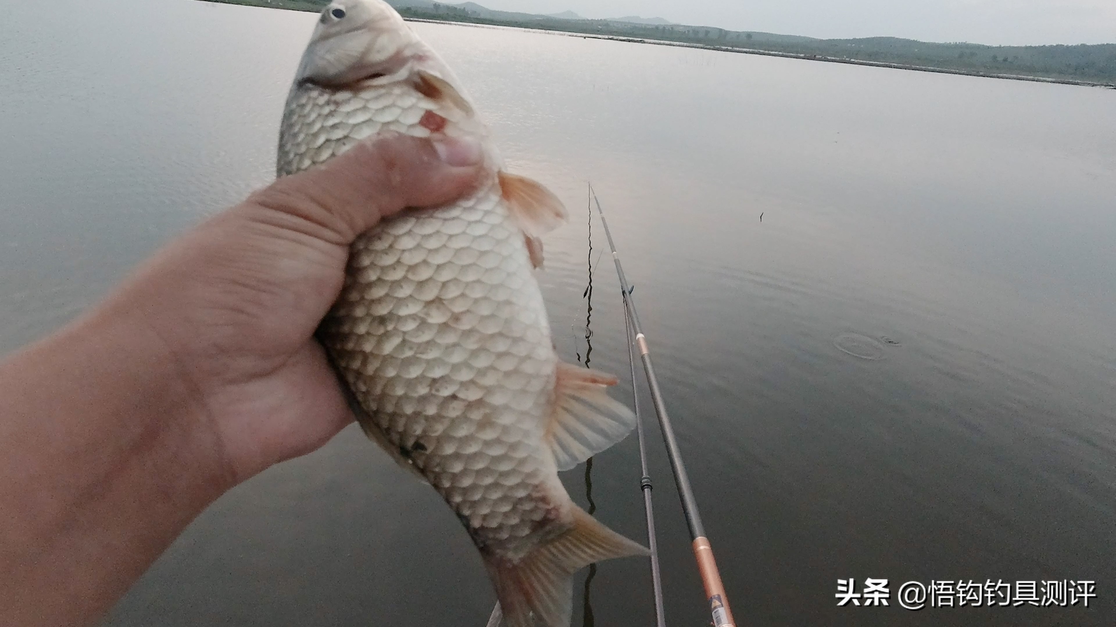 2022鱼竿测试最佳排行榜,鱼竿测评综合竿数据