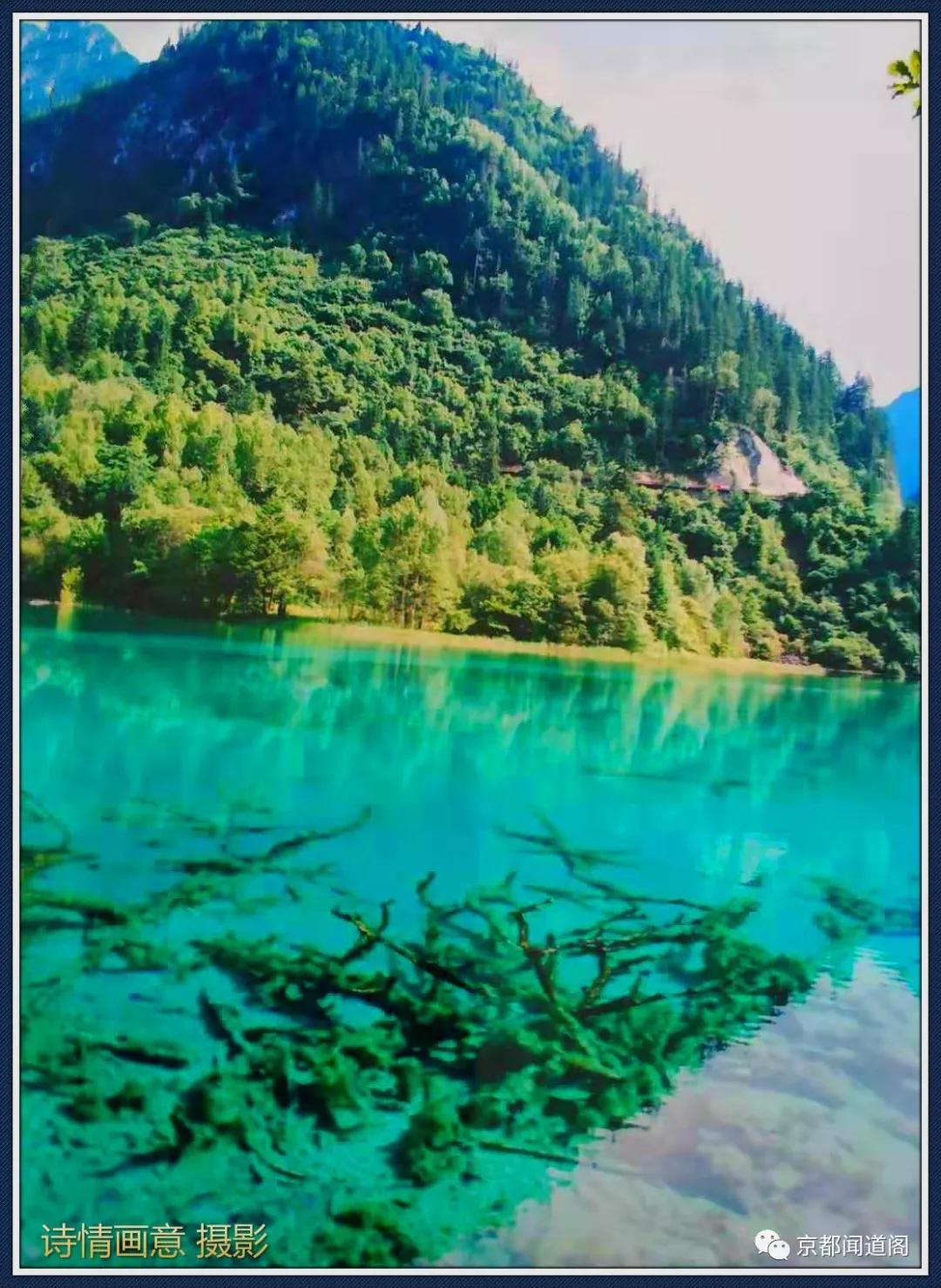 随笔丨颜绝九寨，醉人黄龙