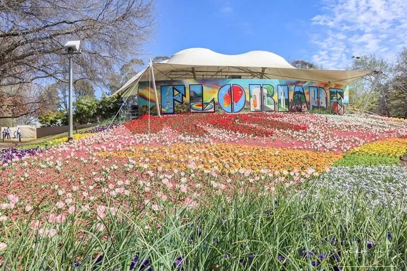 澳洲|春意堪培拉,看袋鼠、品酒、赏花、住进动物的家