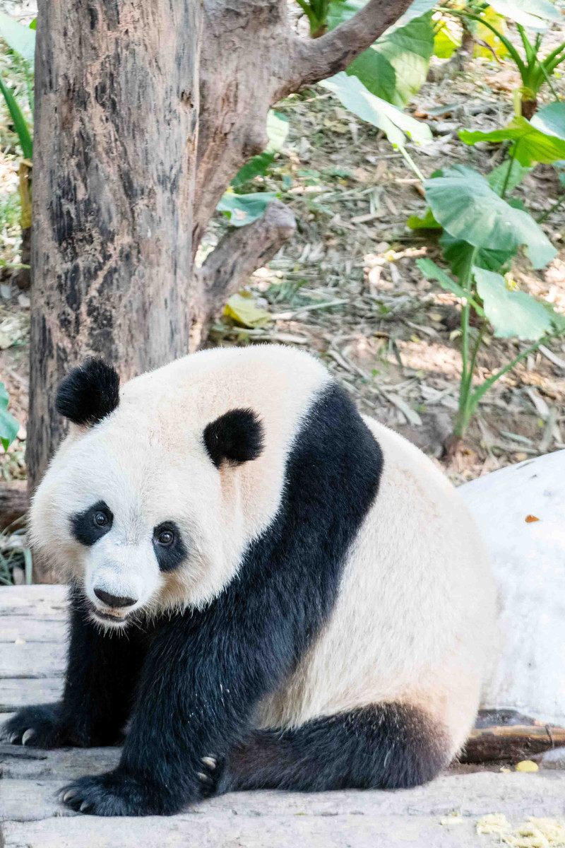寒假亲子游推荐广东,广东自驾亲子游十大排名