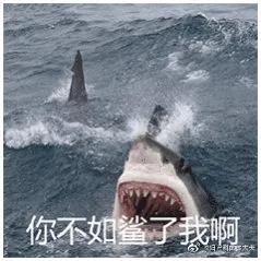 鲨鱼脱肛是什么,鲨鱼脱肛怎么治疗最好