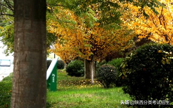 魅丽校园行之-陕西职业技术学院