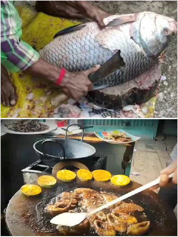 印度恒河甲鱼泛滥真实记录,印度恒河甲鱼泛滥为何没人敢吃