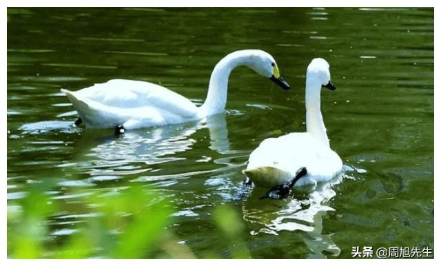沈阳长白岛网红打卡,沈阳长白岛森林公园旅游攻略