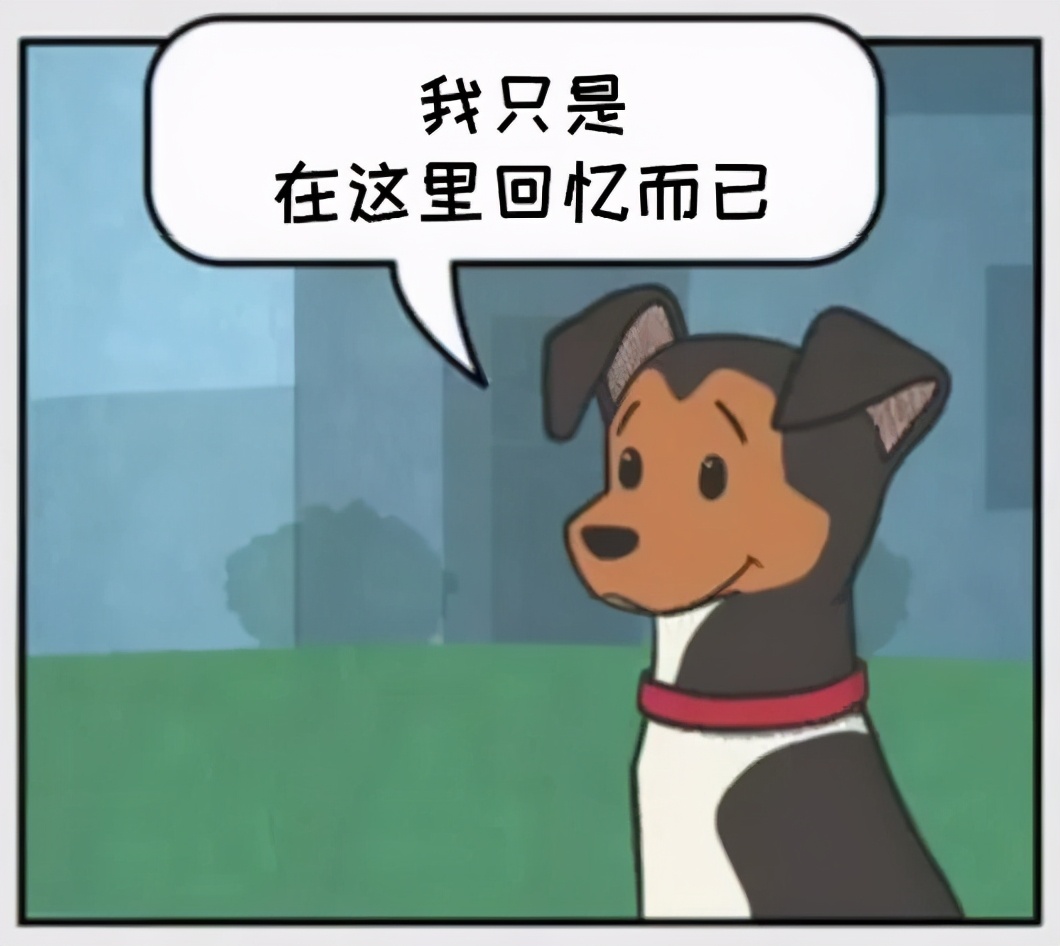 铲屎官和狗子的漫画,铲屎官和狗子们漫画