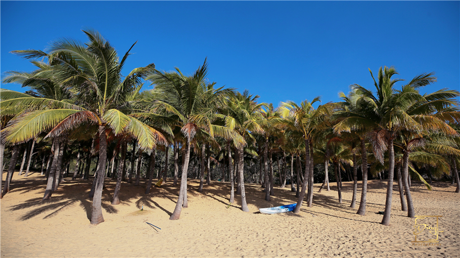 海南猴岛旅游自由行攻略,海南猴岛和呆呆岛攻略