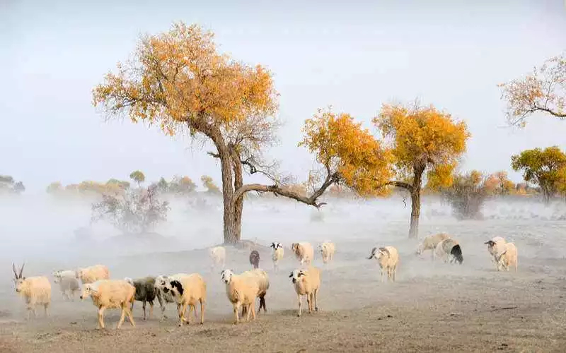 南疆游最佳旅游线路费用,南疆的旅游地点