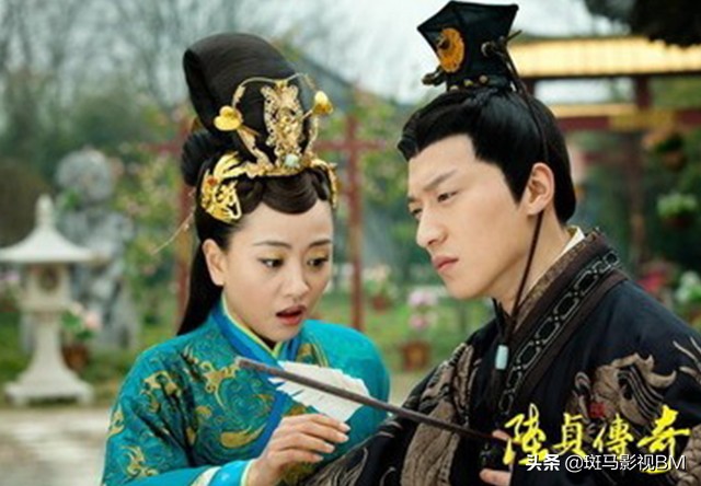 陆贞传奇深度解读,陆贞传奇一番